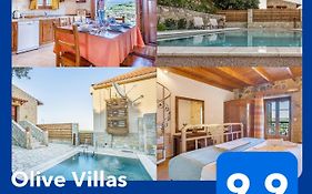 Olive Villas